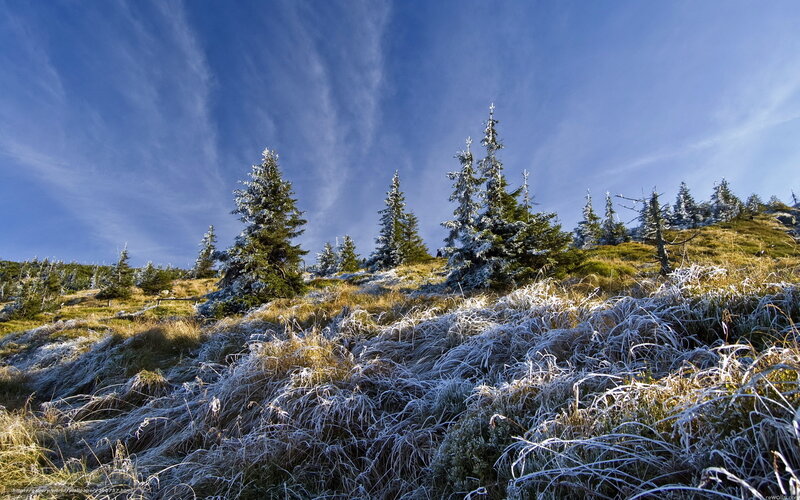Frost-covered Grassy Hill