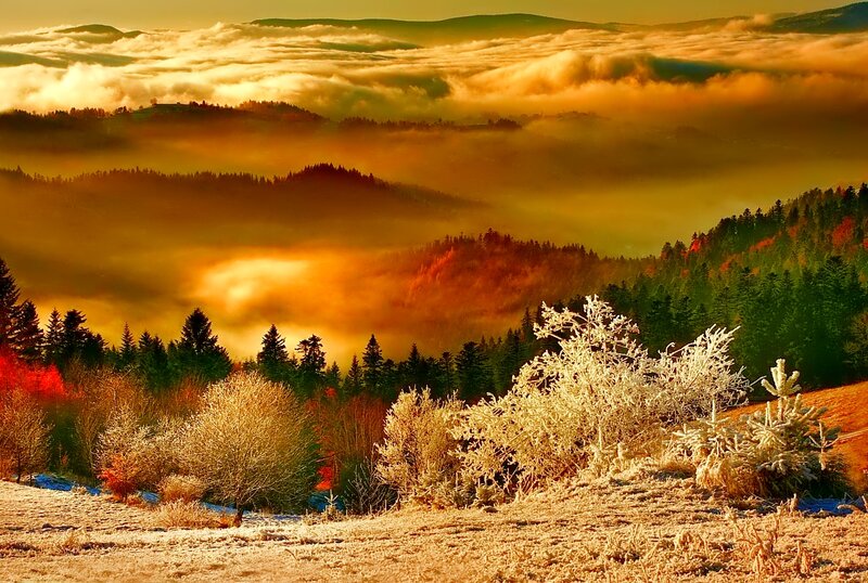 Frost-covered Hills at Sunrise — Gold