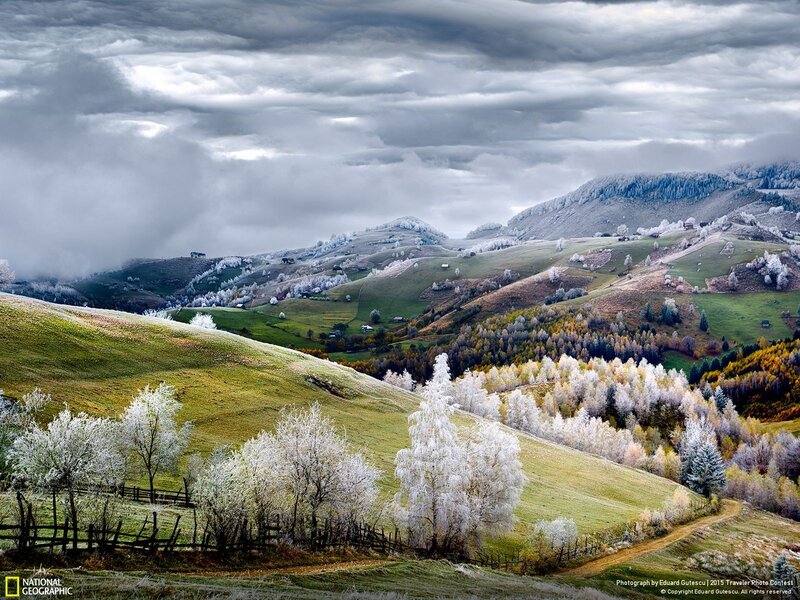 Frost-covered Hills — Green