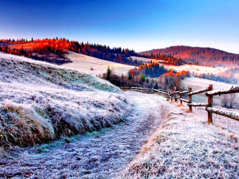 Frost-covered Hillside Path