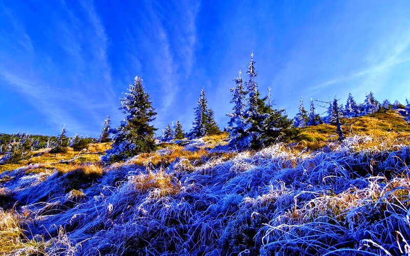 Frost-covered Hillside