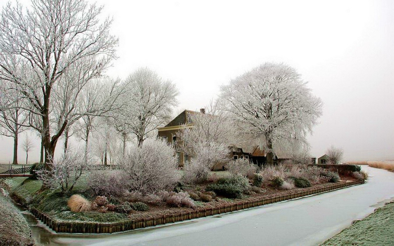 frost-covered house in winter