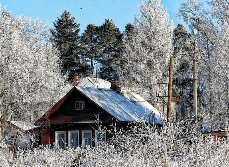 Frost-covered house in winter