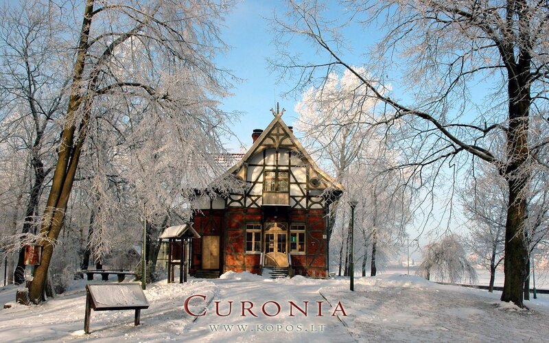 Frost-covered House in Winter — White