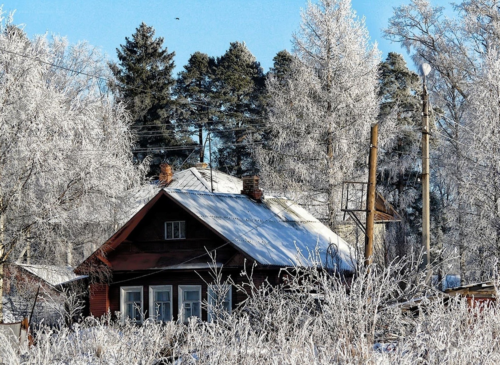 Frost-covered house in winter
