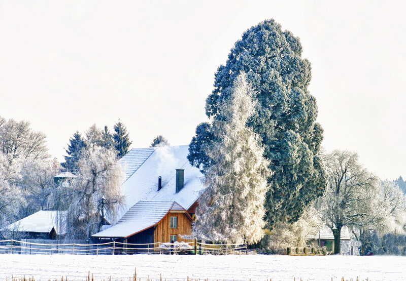 Frost-covered House