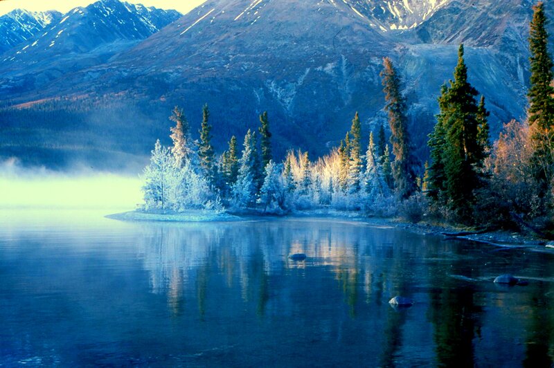 Frost-covered Island in Lake — Blue