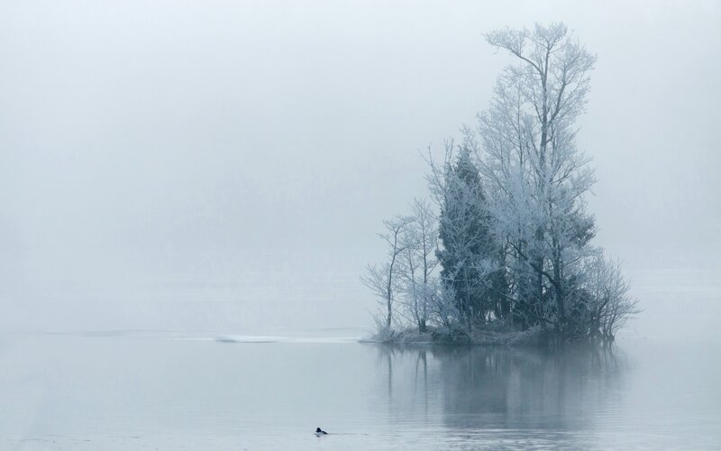 Frost-covered Island in Lake — White