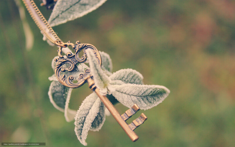 Frost-covered Key on Leaf — Green