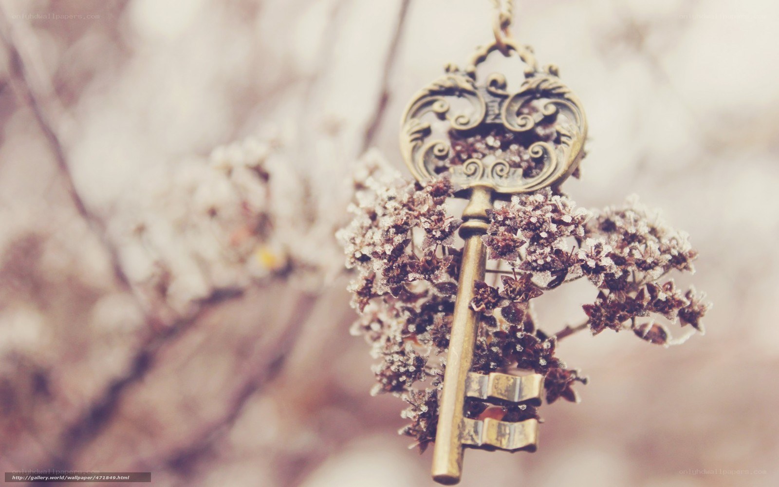 frost-covered key pendant