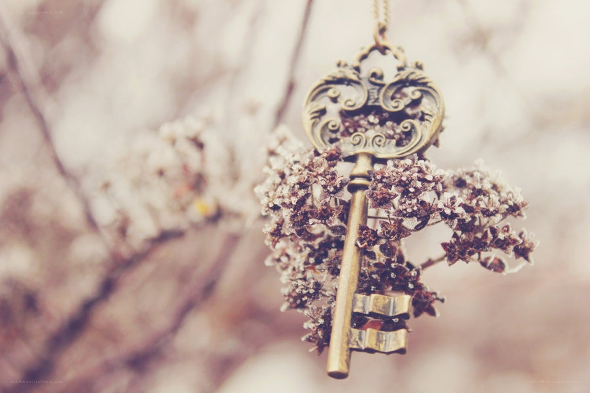 frost-covered key pendant