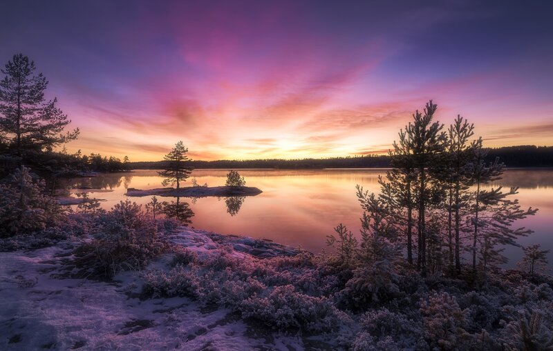 Frost-covered Lake at Sunset — Purple