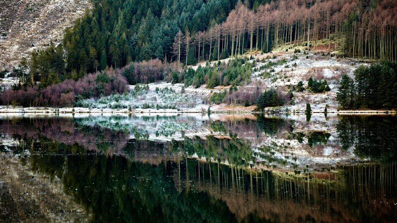 Frost-covered Lake Reflection
