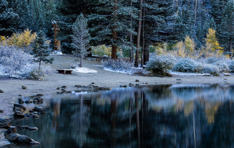 Frost-covered Lake Shore