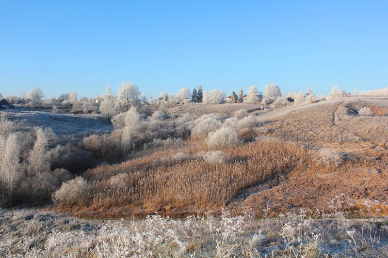 Frost-covered Landscape — Blue