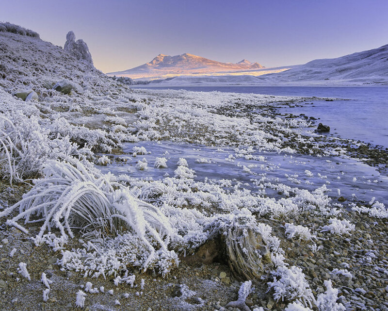 Frost-covered Landscape