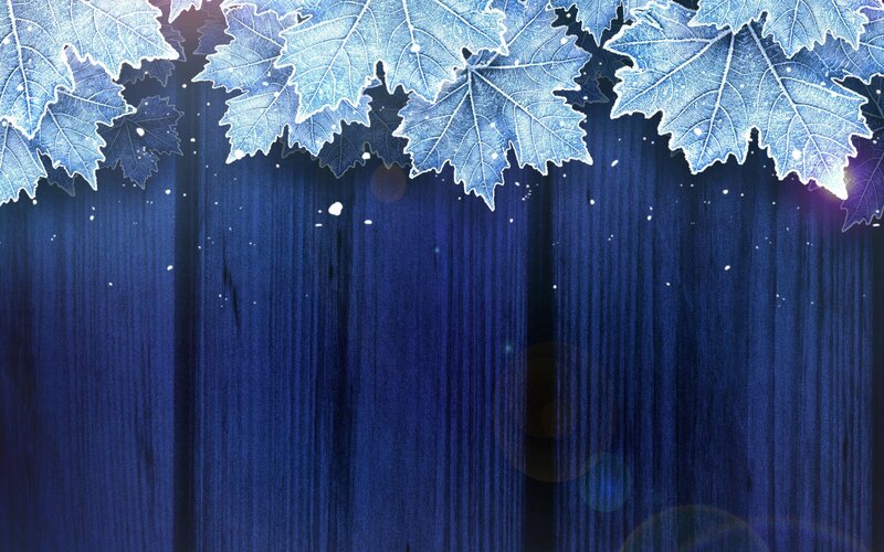 Frost-covered Leaves — Blue, Cold