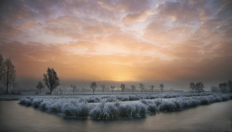 Frost-covered Marsh at Sunrise — Orange