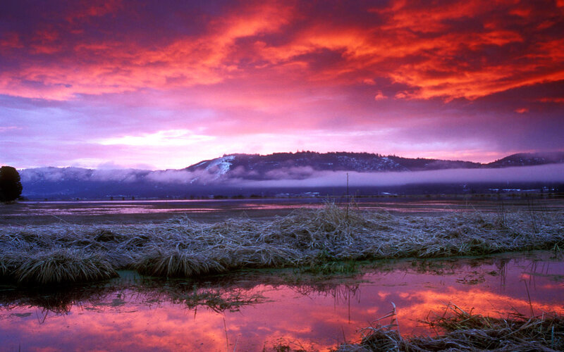 Frost-covered Marsh at Sunrise — Red