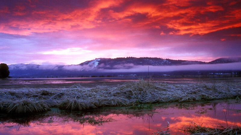 Frost-covered Marsh at Sunrise