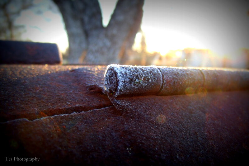 Frost-covered Metal Hinge