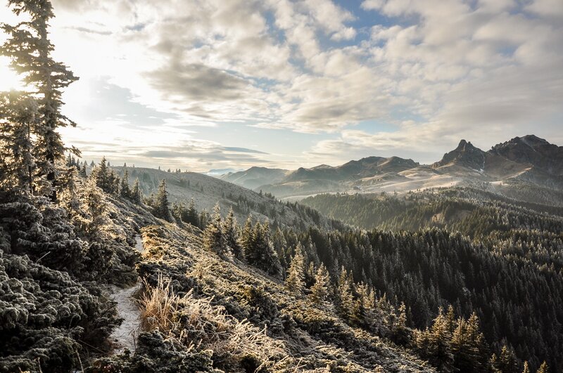 Frost-covered Mountain Landscape