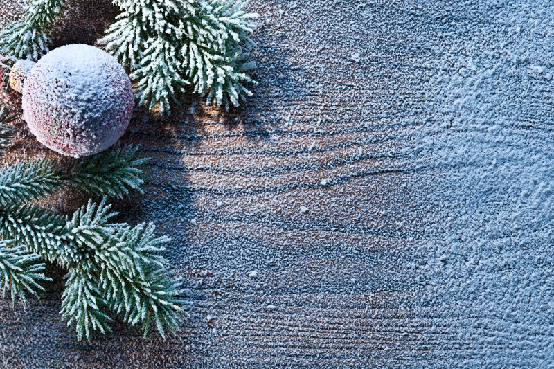 Frost-covered Ornament and Branches