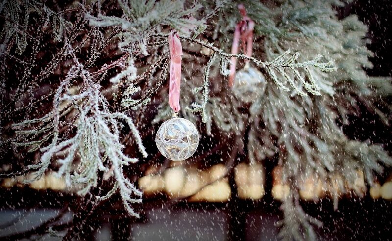 Frost-covered Ornament