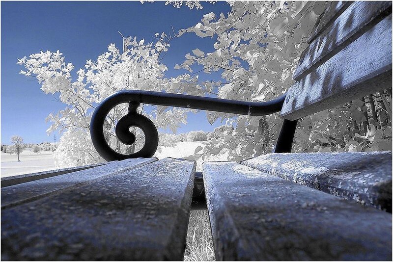 Frost-covered Park Bench