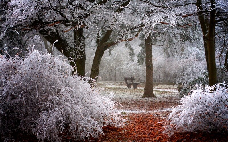 Frost-covered Park Bench — White, Serene