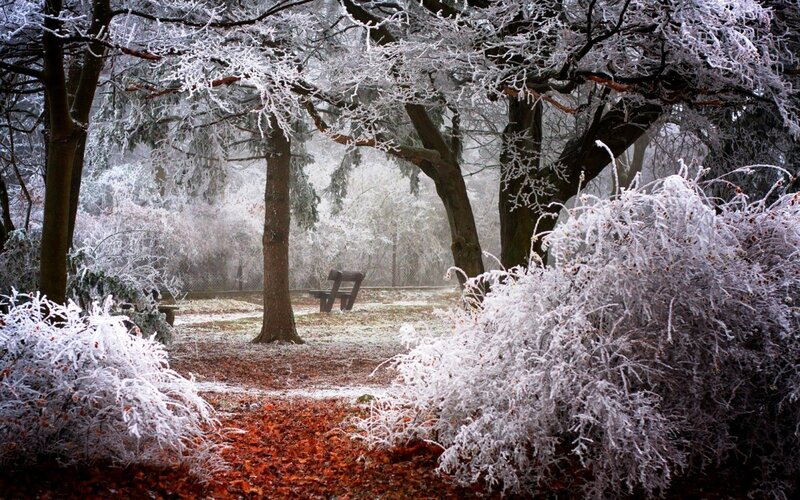 Frost-covered Park Bench — White, Serene, Winter