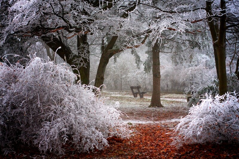 Frost-covered Park Bench — White