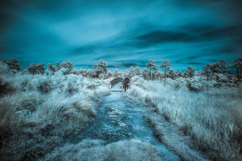 Frost-covered Path and Bridge