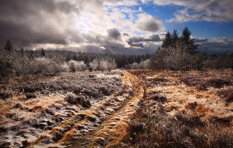 Frost-covered Path in Field — Brown