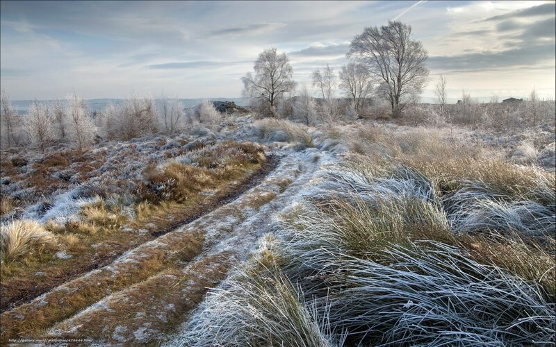 Frost-covered path in winter