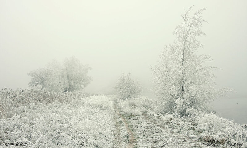 Frost-covered Path