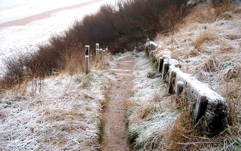 Frost-covered Path to Beach