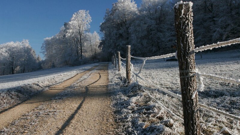 Frost-covered Path — White, Serene, Winter