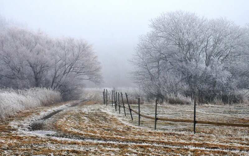 Frost-covered Path — White