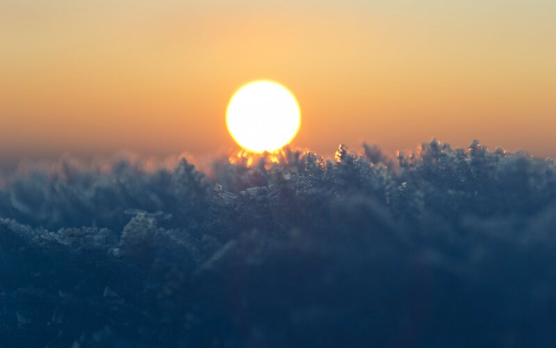 Frost-covered Plants at Sunrise — Orange