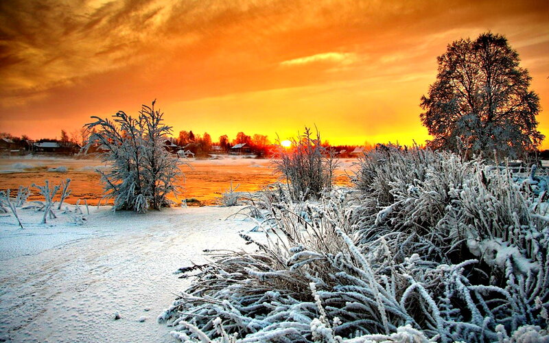 Frost-covered Plants at Sunset — Orange