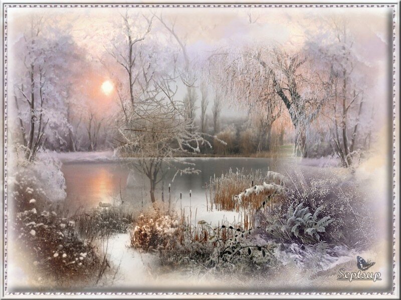 Frost-covered Pond Landscape