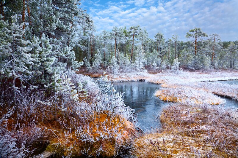 Frost-covered River — Blue, Serene