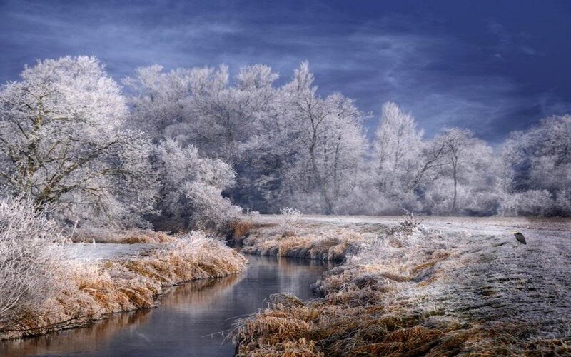 Frost-covered River — Blue