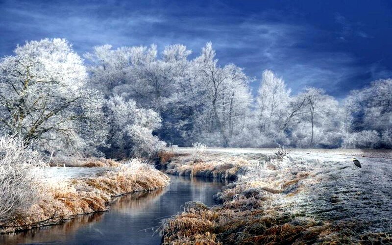 Frost-covered River Landscape — Blue, Cold