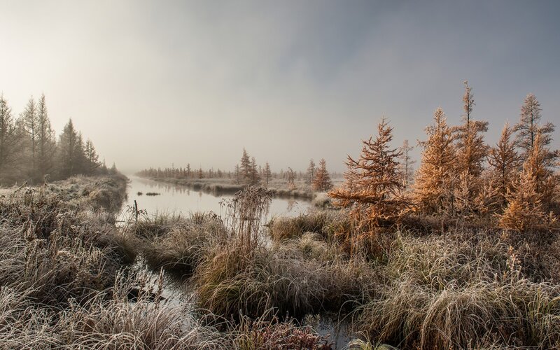 Frost-covered River Landscape — Brown