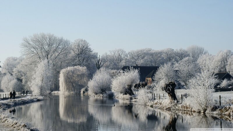 Frost-covered River Landscape — White