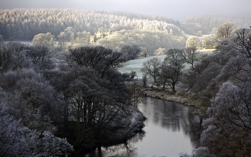 Frost-covered River Valley — White, Cold