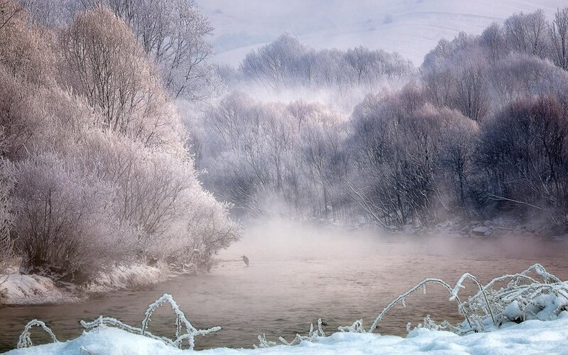 Frost-covered River — White, Serene