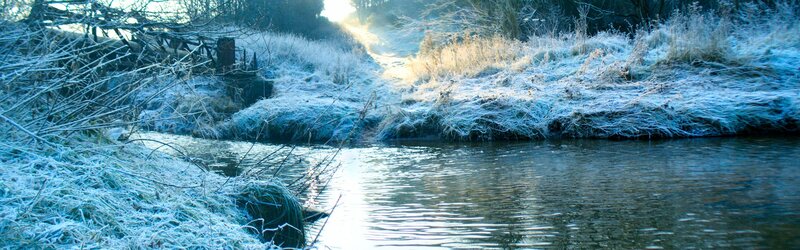 Frost-covered Riverbank — Blue, Cold